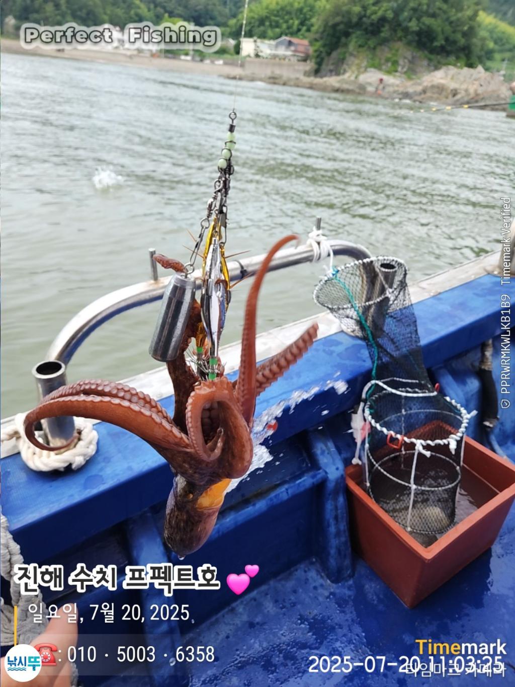 F2729132D3.jpg