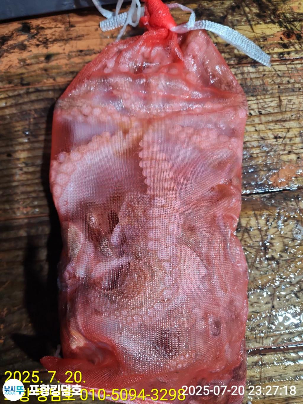 F2729288MN.jpg