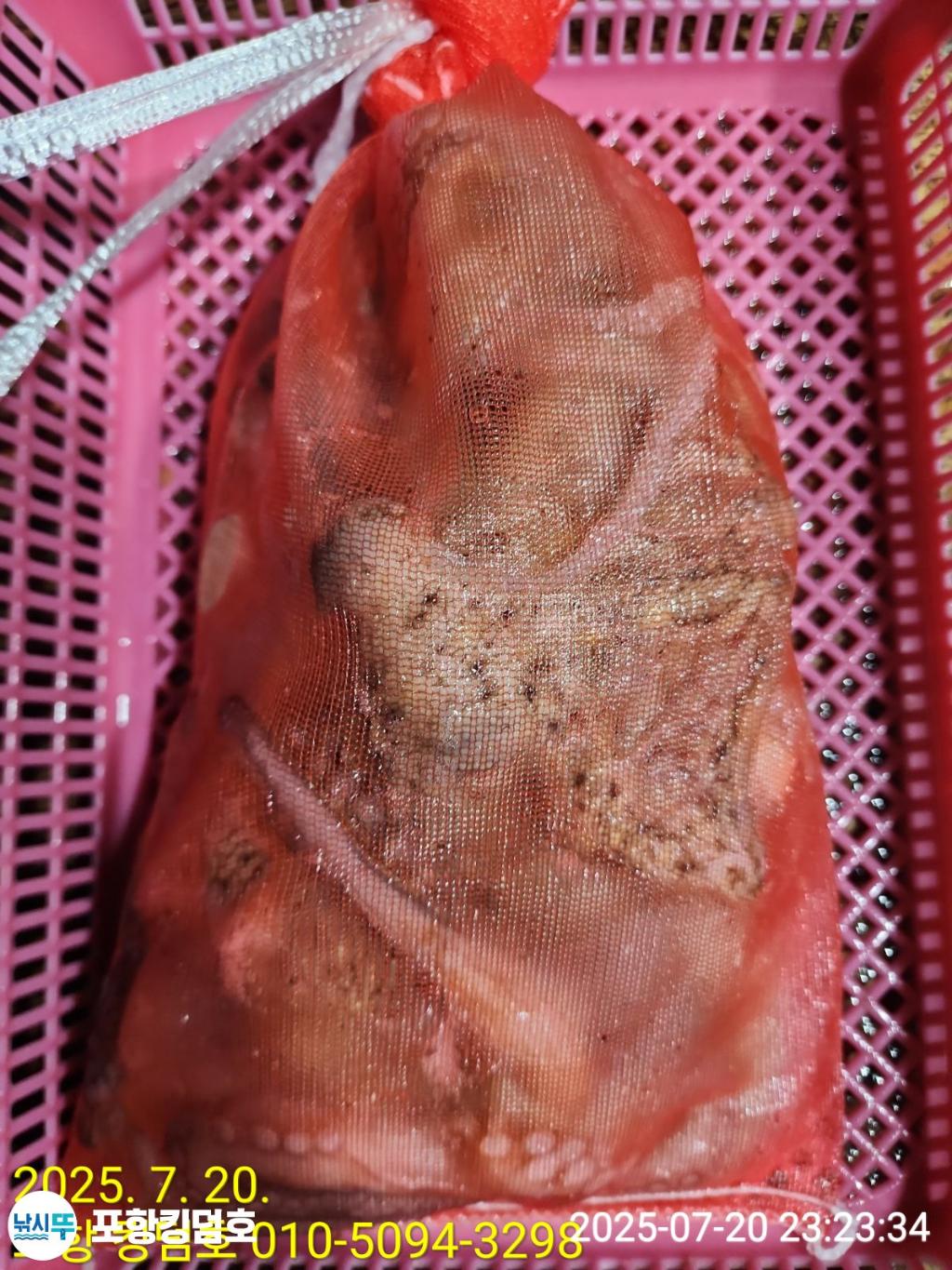 F2729291RI.jpg