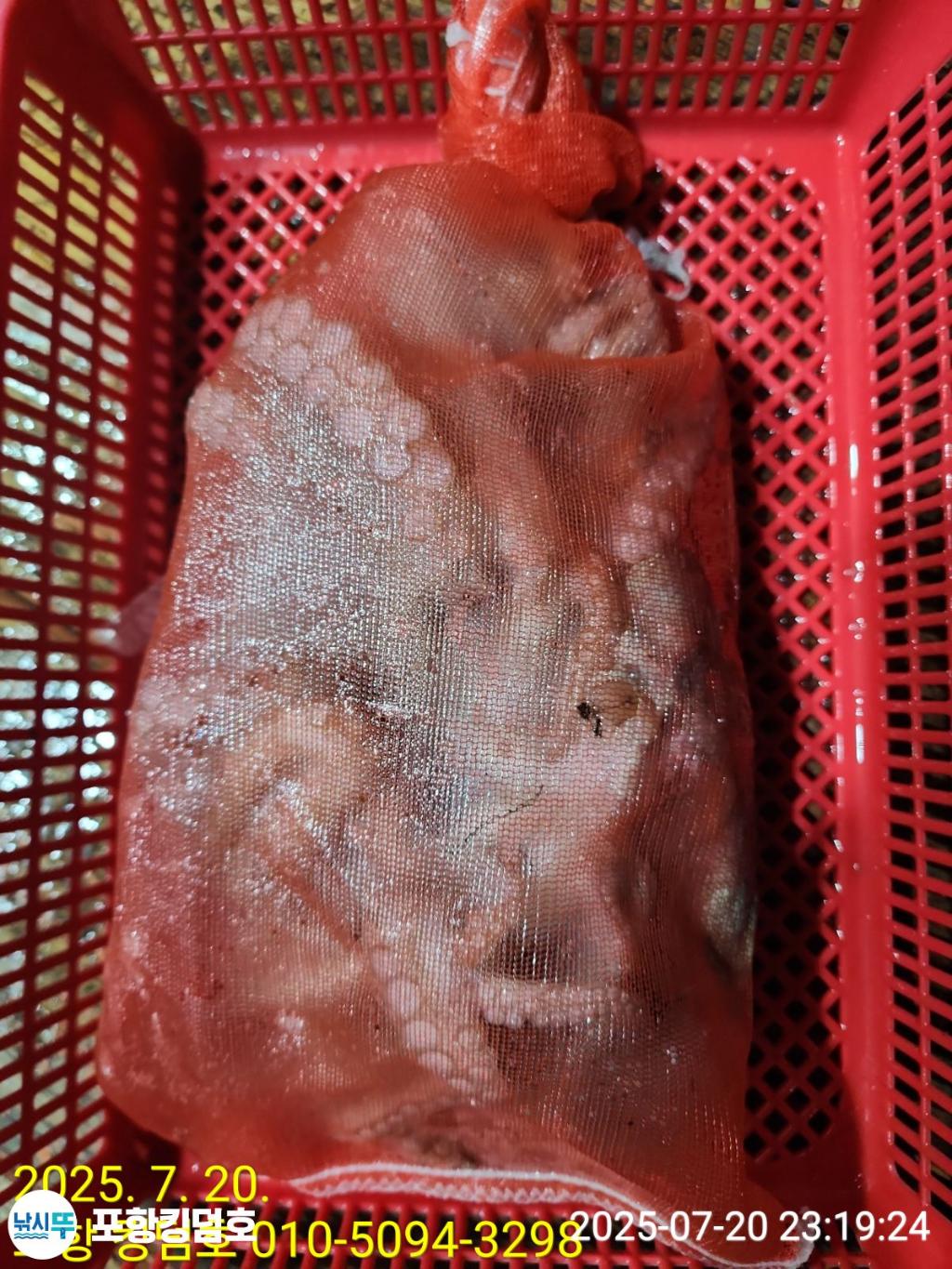 F2729292G4.jpg