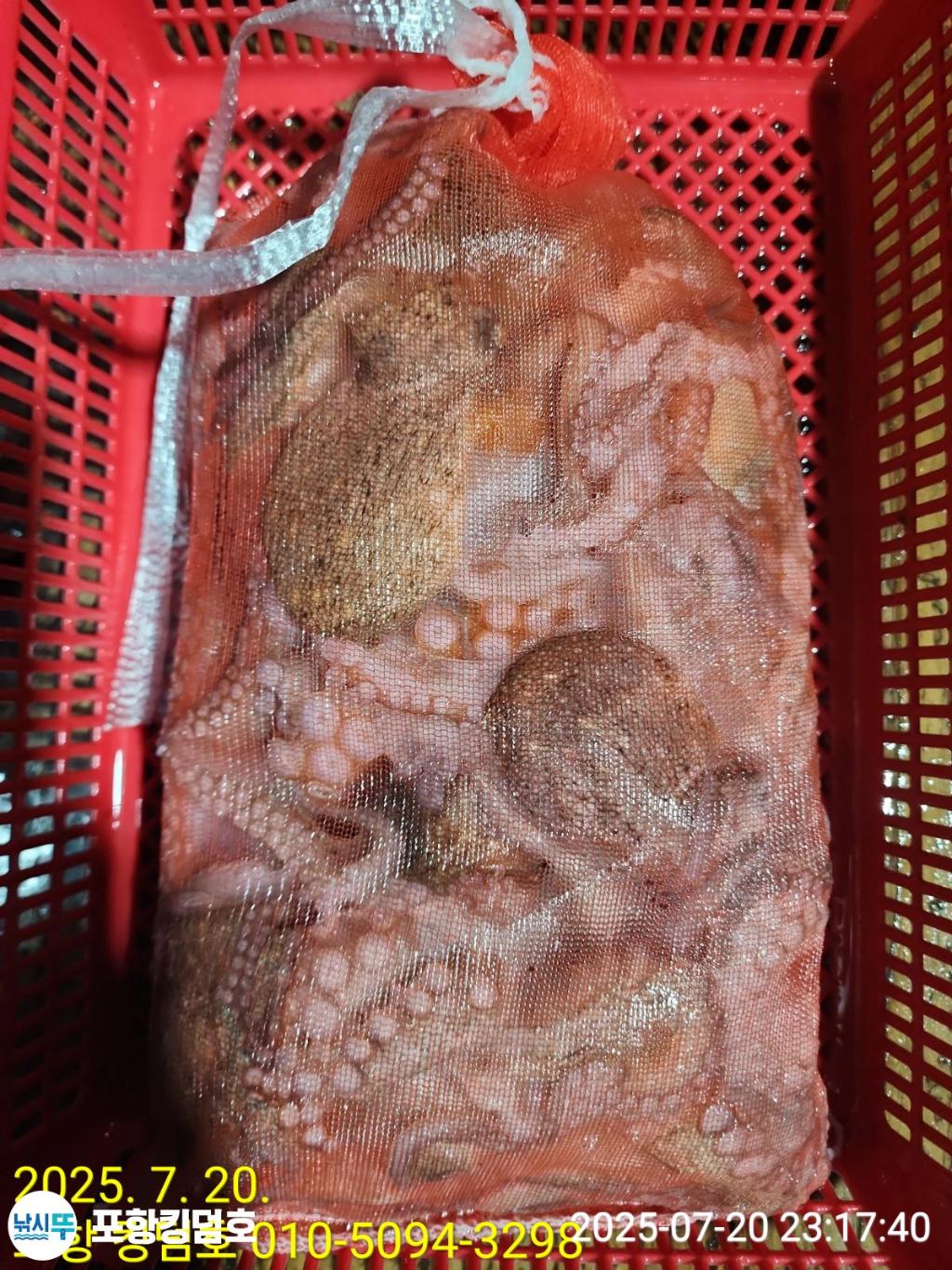 F2729293ZP.jpg