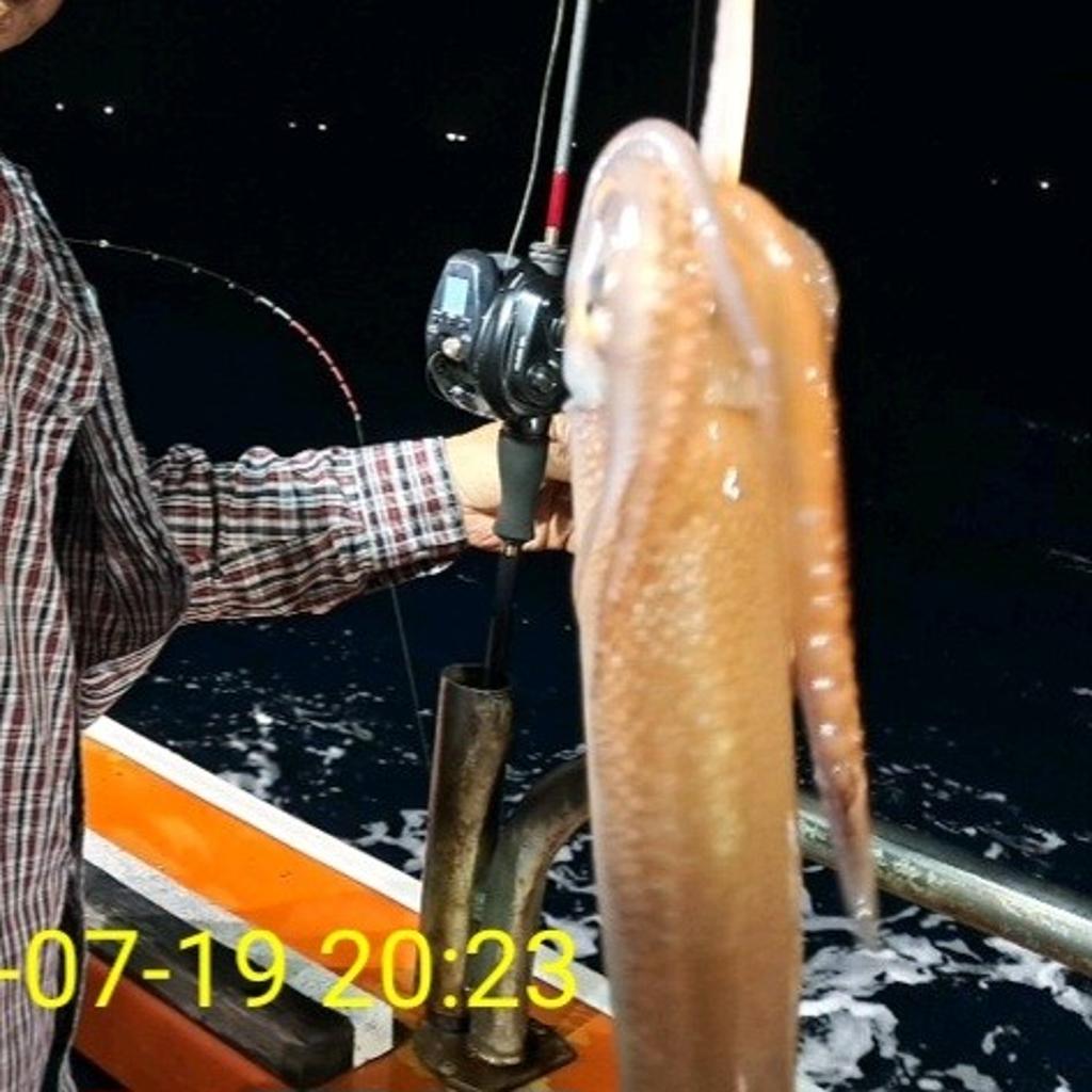 기타 (직접입력), 삼포대교낚시, 낚시뚜