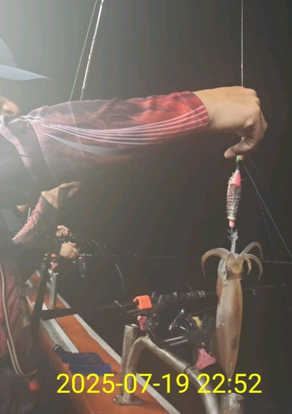 기타 (직접입력), 삼포대교낚시, 낚시뚜