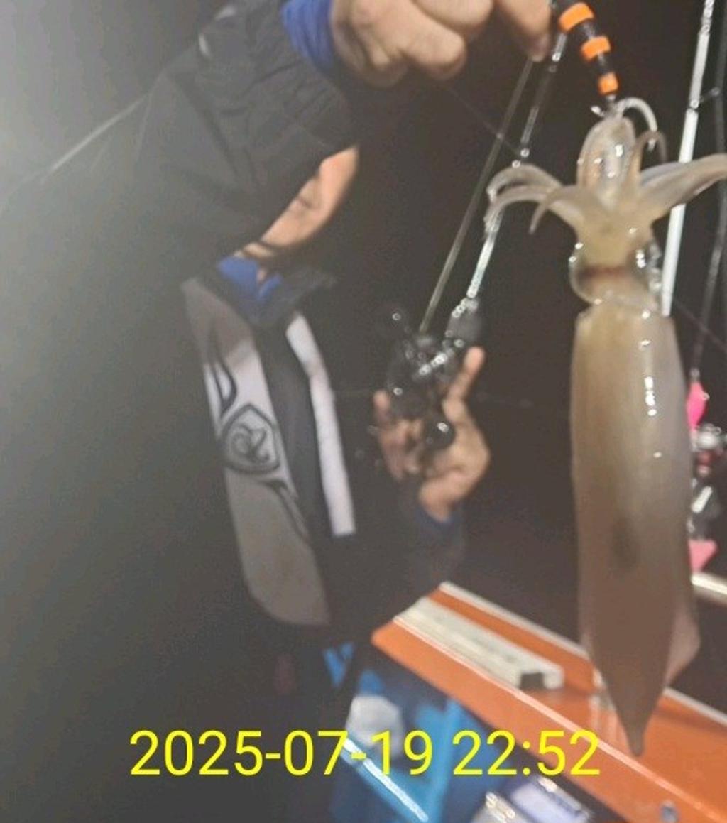기타 (직접입력), 삼포대교낚시, 낚시뚜