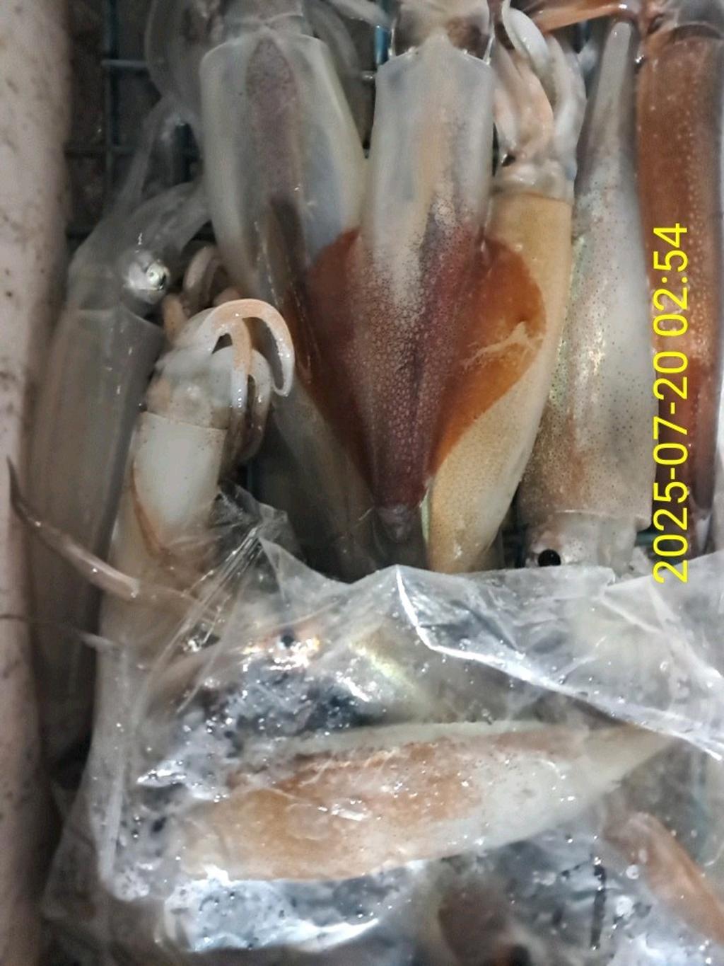 기타 (직접입력), 삼포대교낚시, 낚시뚜