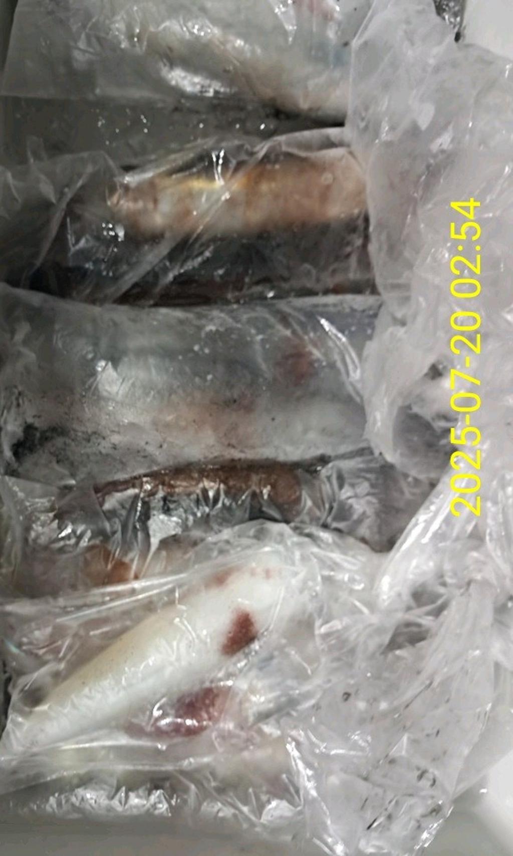 기타 (직접입력), 삼포대교낚시, 낚시뚜