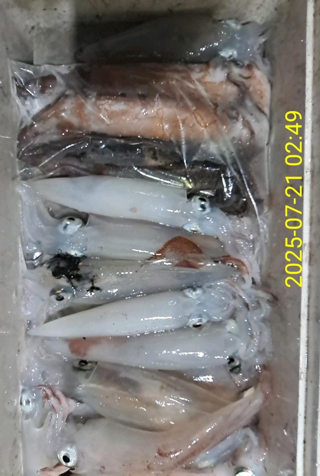기타 (직접입력), 삼포대교낚시, 낚시뚜