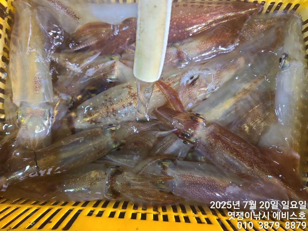 F27296037P.jpg