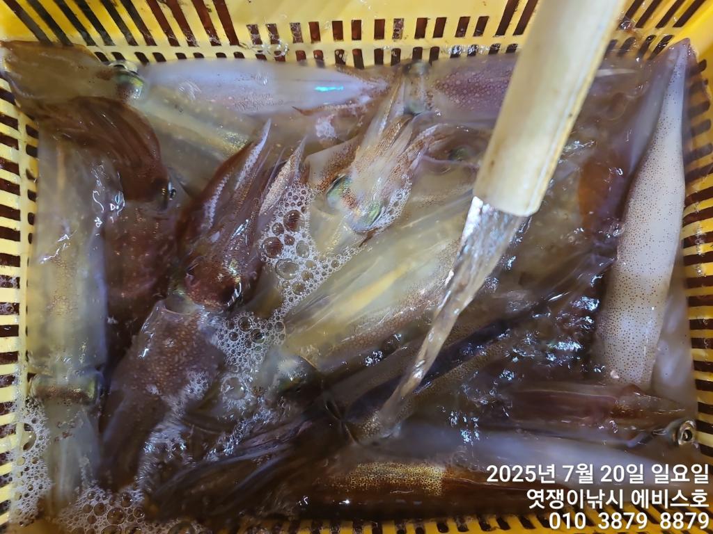 F27296079P.jpg