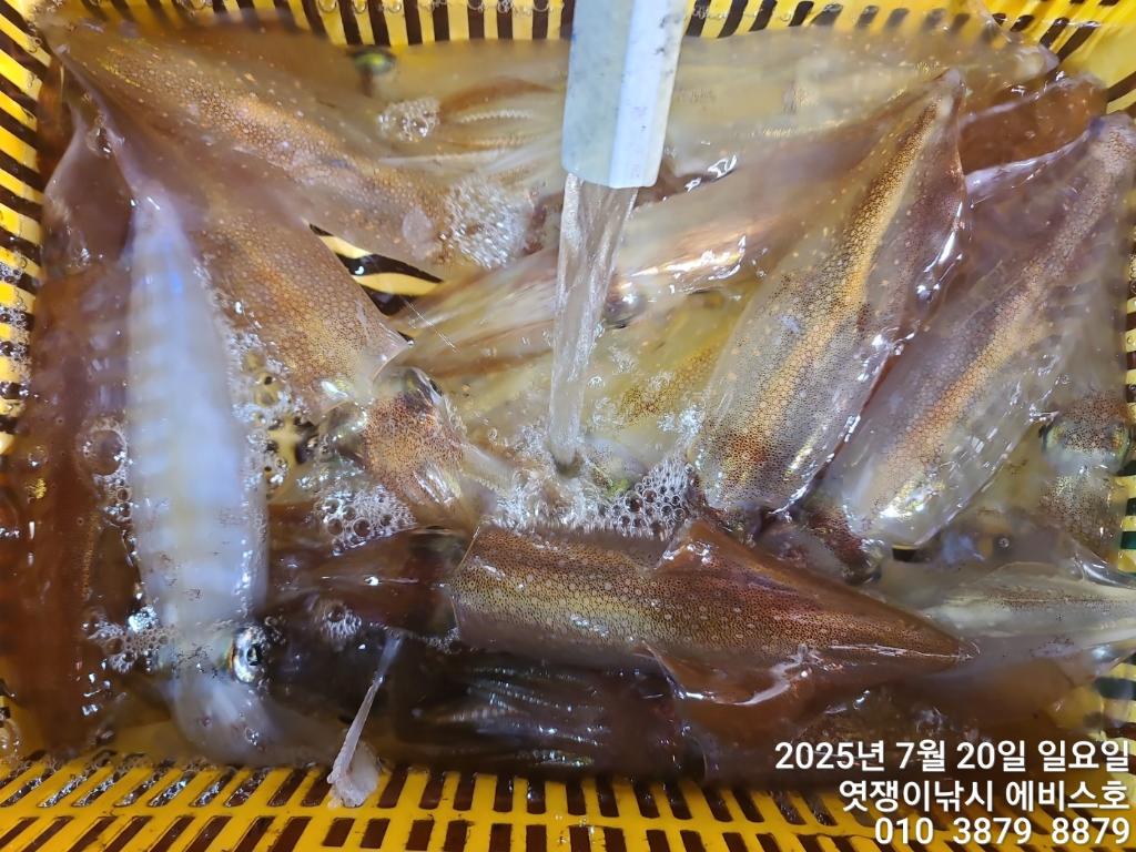 F27296080F.jpg