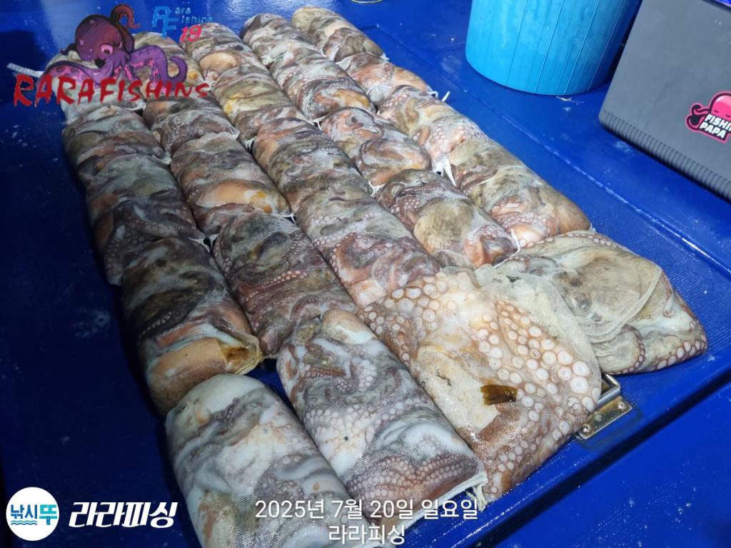 F2730106CN.jpg