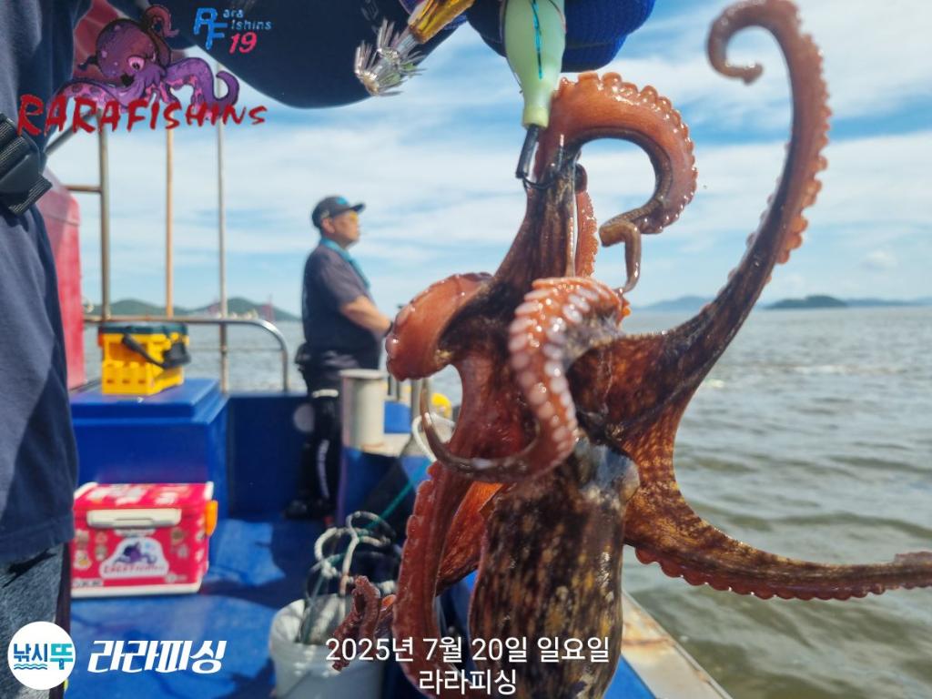 F2730113JY.jpg