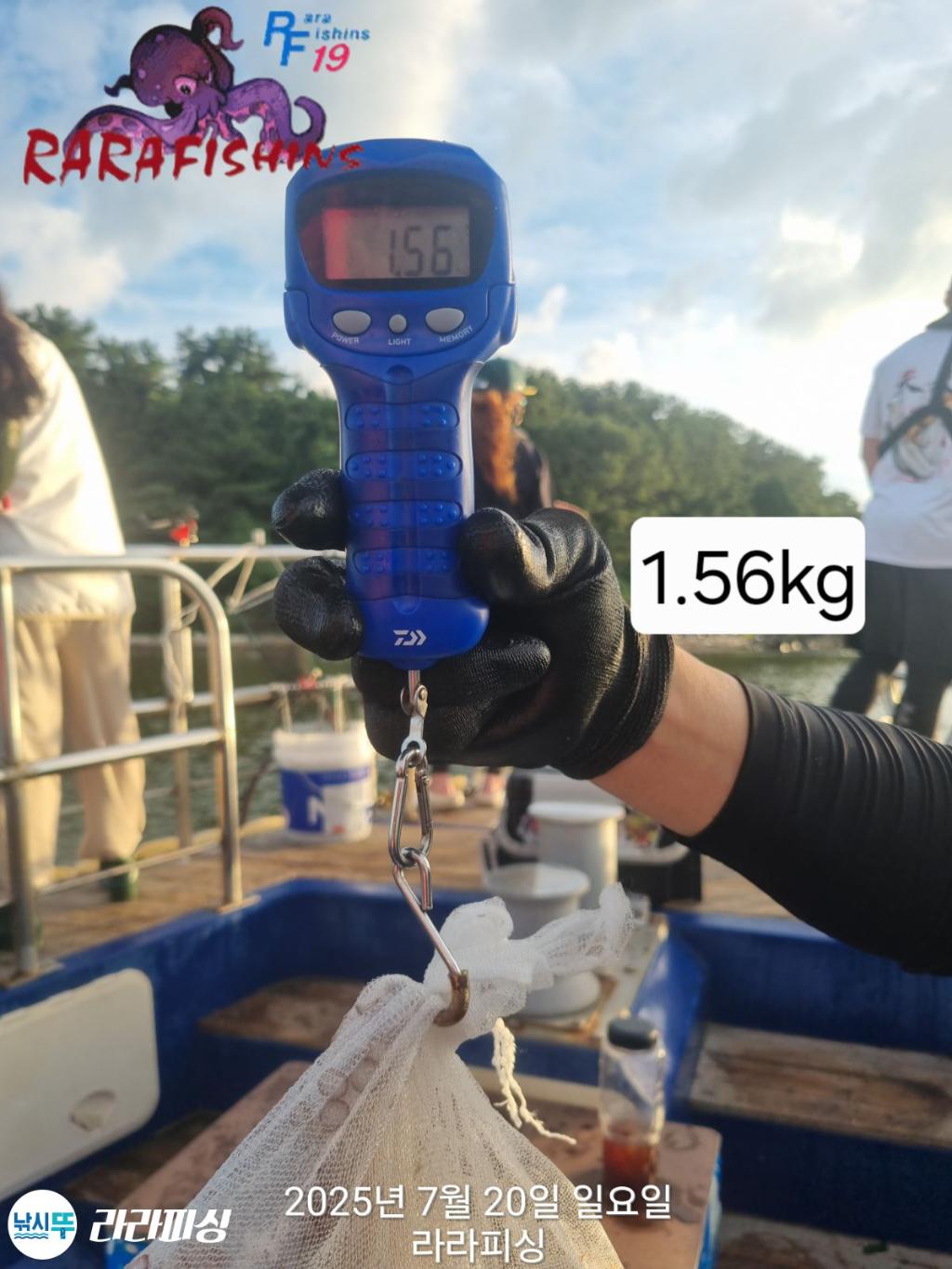 F2730125LP.jpg
