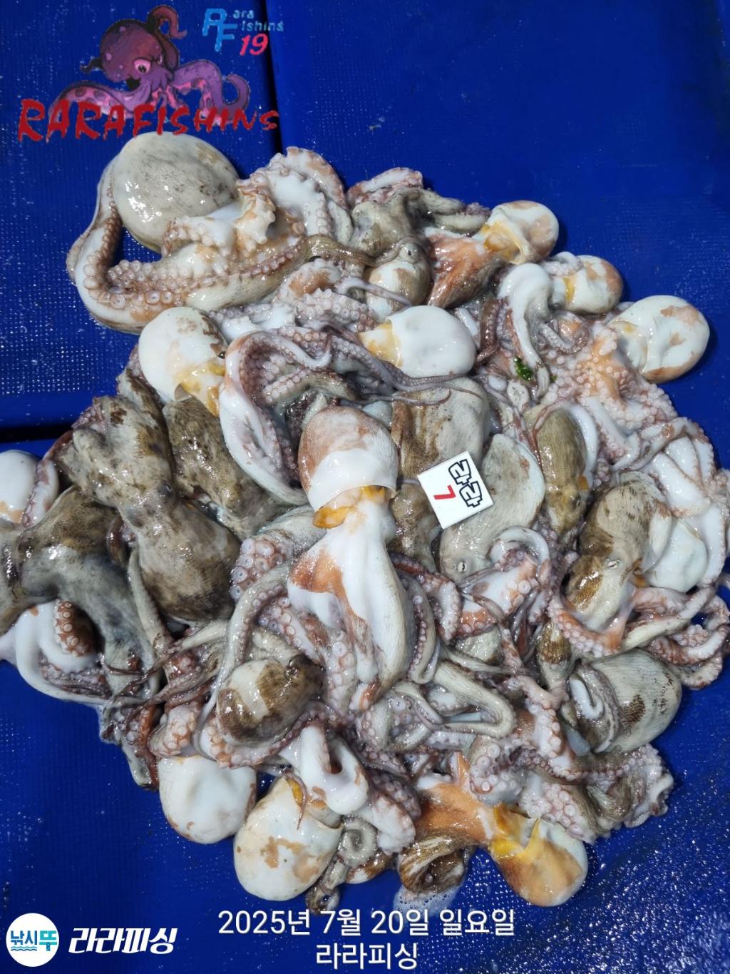 F2730129HZ.jpg