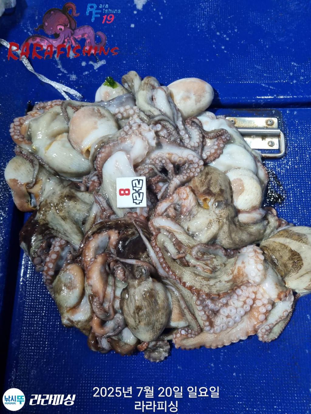 F2730131SU.jpg