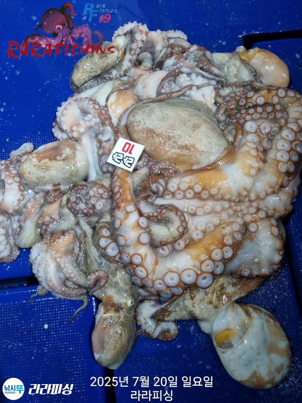 F27301331K.jpg