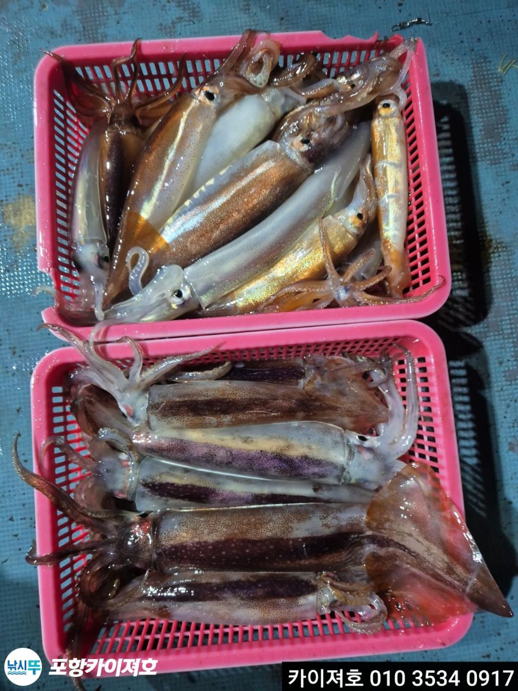 F2730145GE.jpg