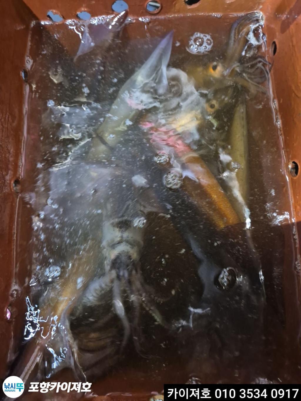 F273015480.jpg