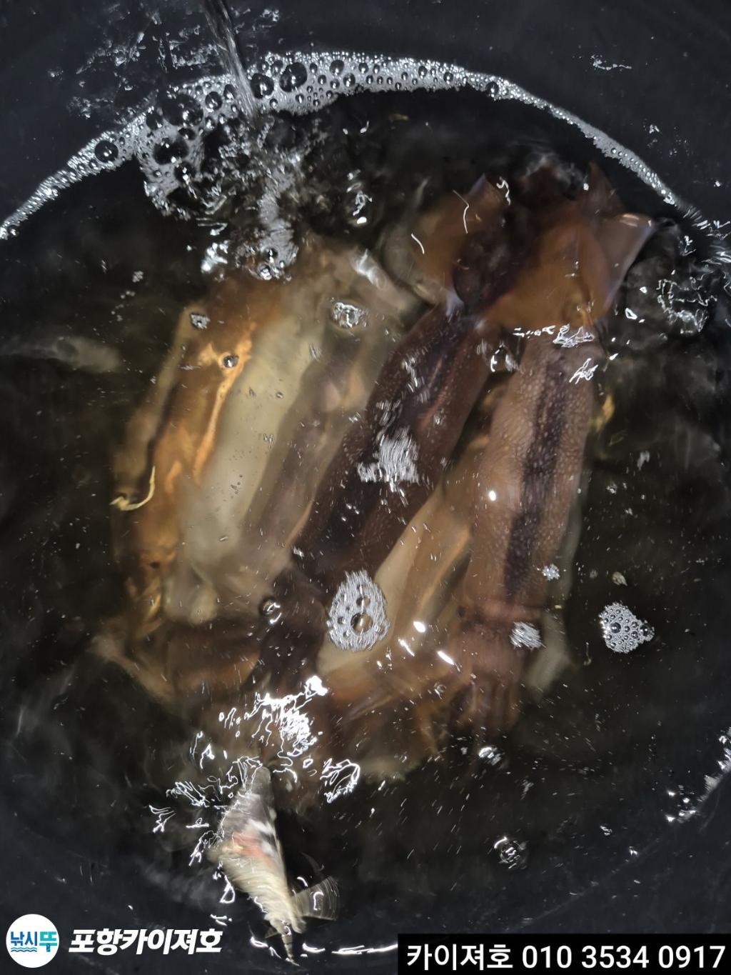 F2730156BP.jpg