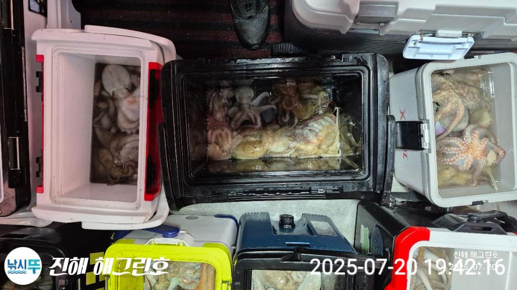 F2730224YI.jpg