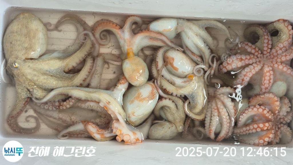 F2730231R9.jpg