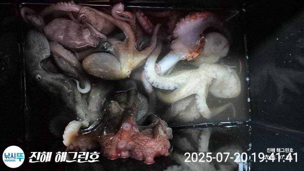 F2730236MA.jpg
