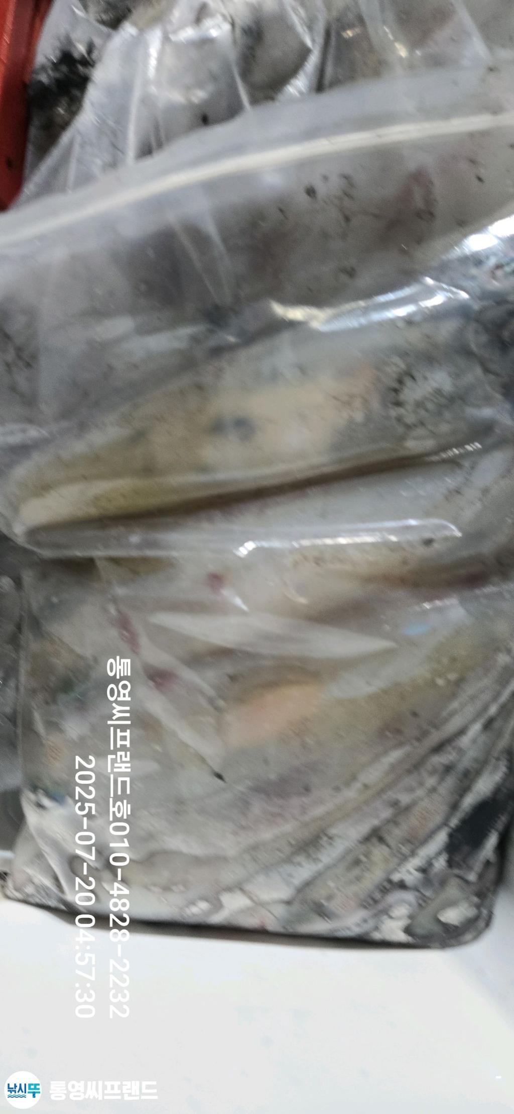 F2730267XU.jpg