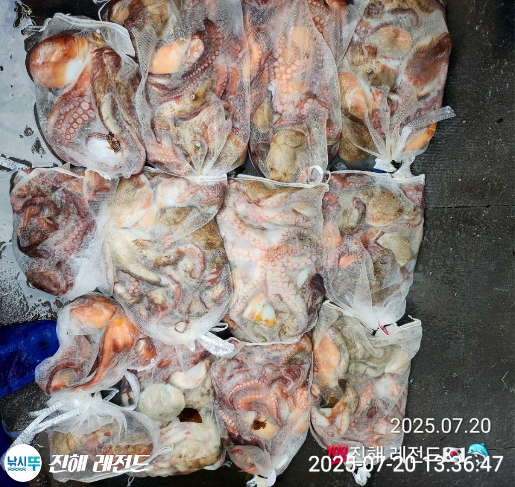 F2730387JJ.jpg