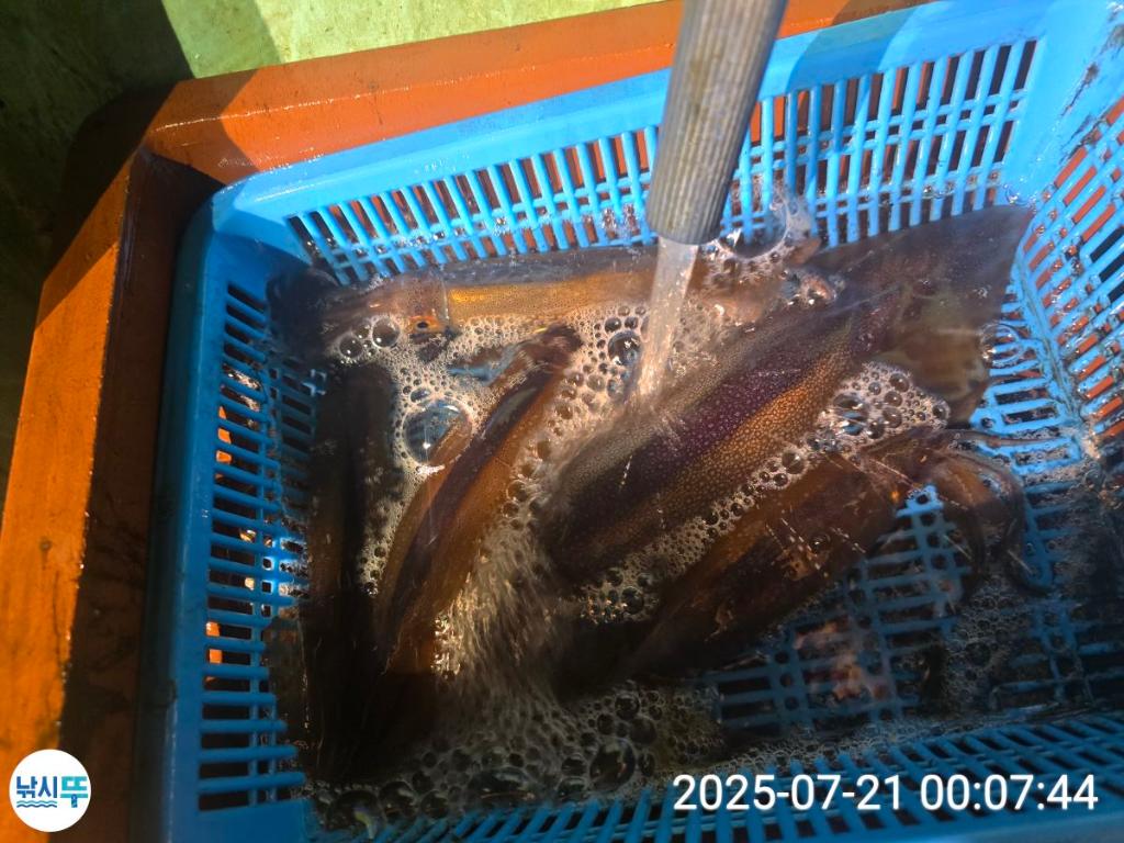 F2730423UF.jpg