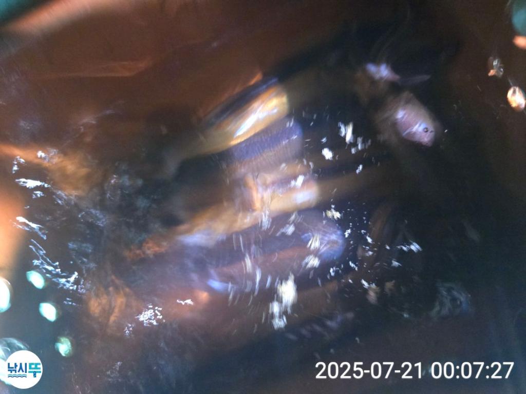 F2730428FL.jpg