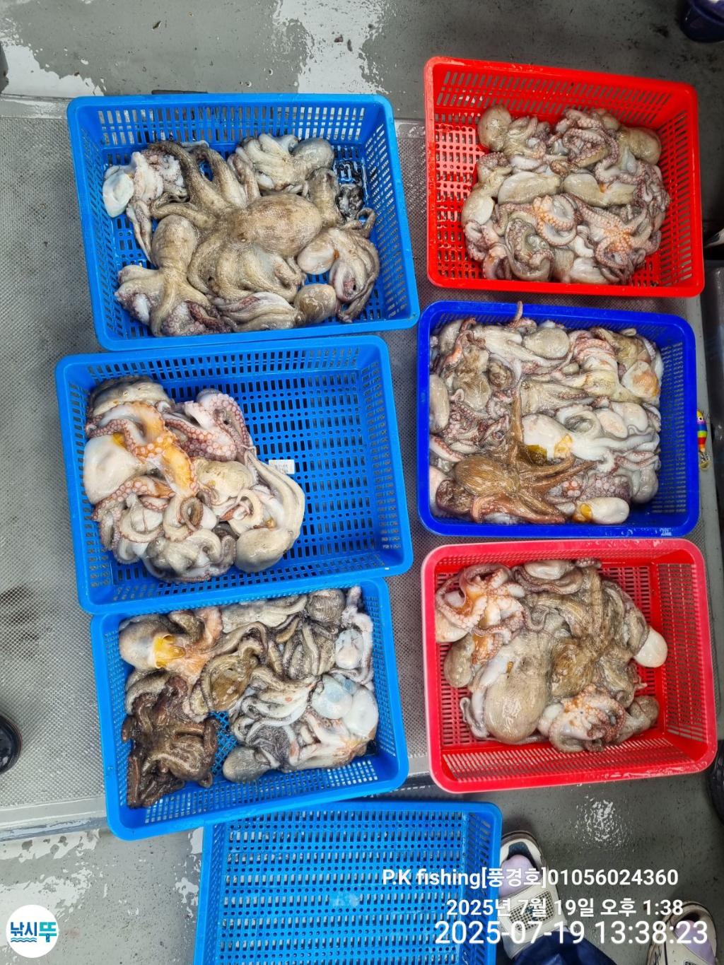F2730432LE.jpg