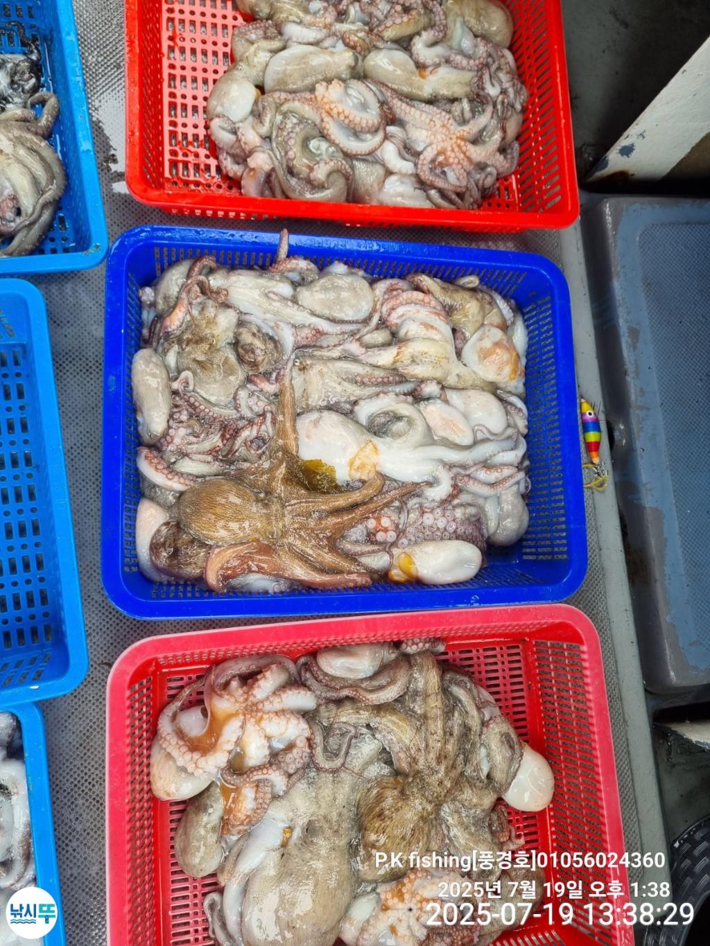 F2730434VO.jpg