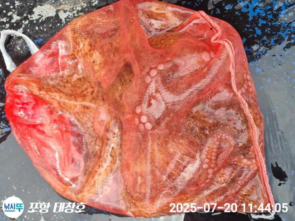 F2730456V7.jpg