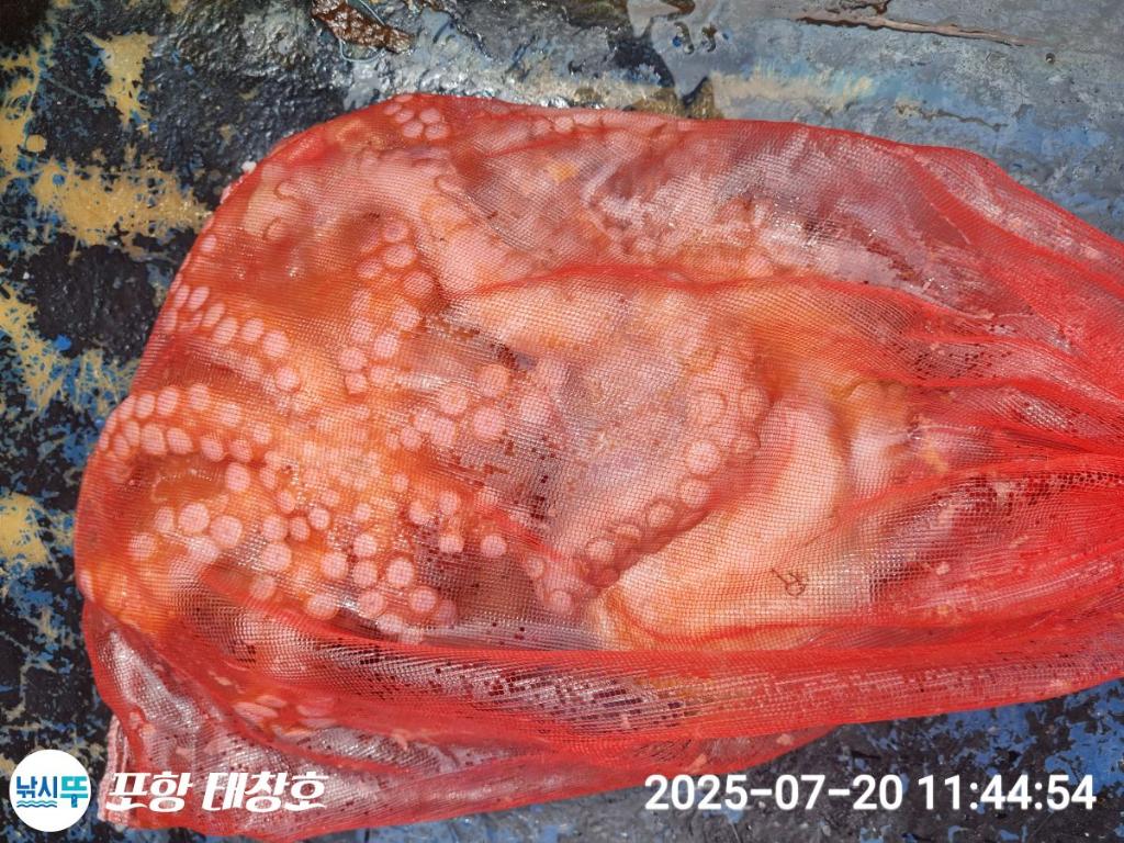 F2730457PA.jpg