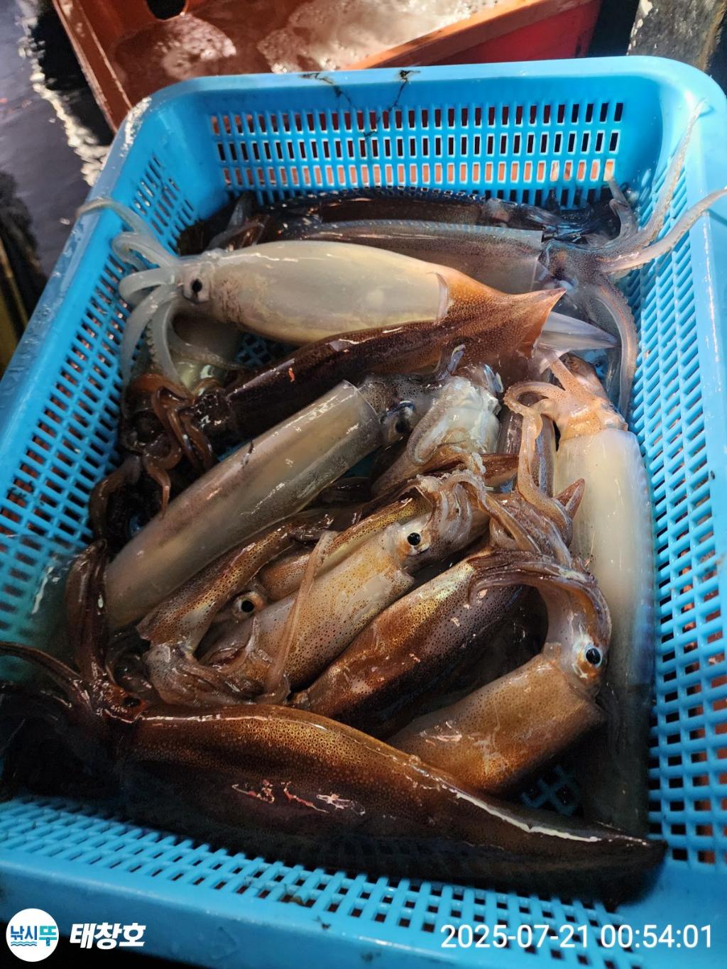 F27305280W.jpg