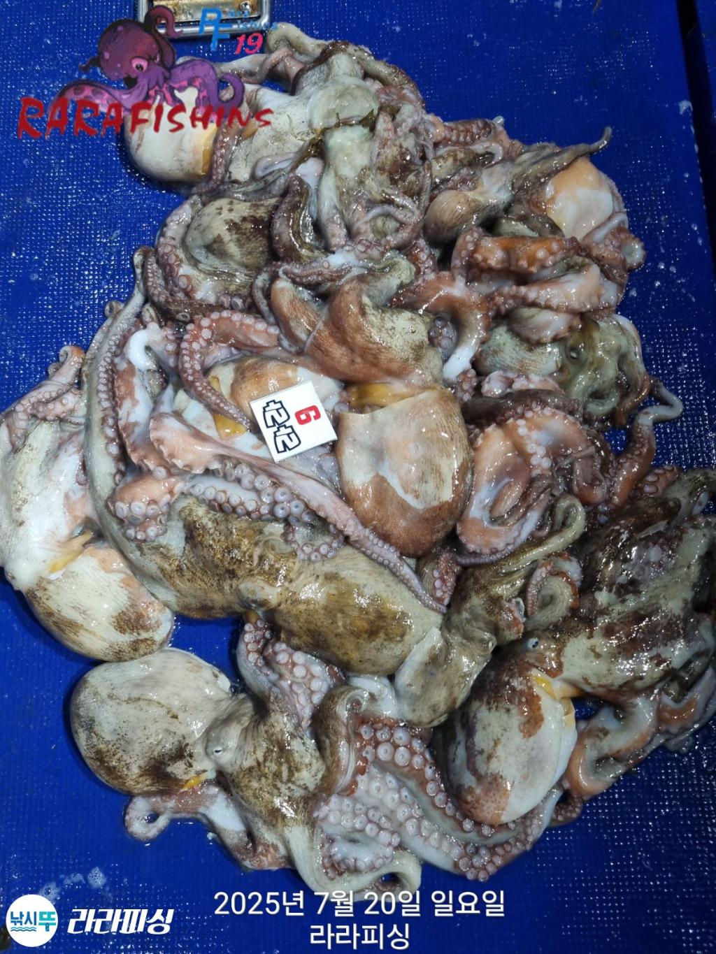 F27306531F.jpg