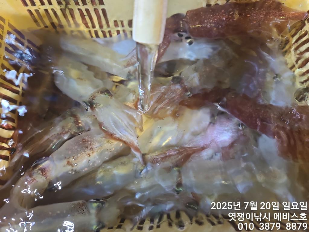 F27303573H.jpg