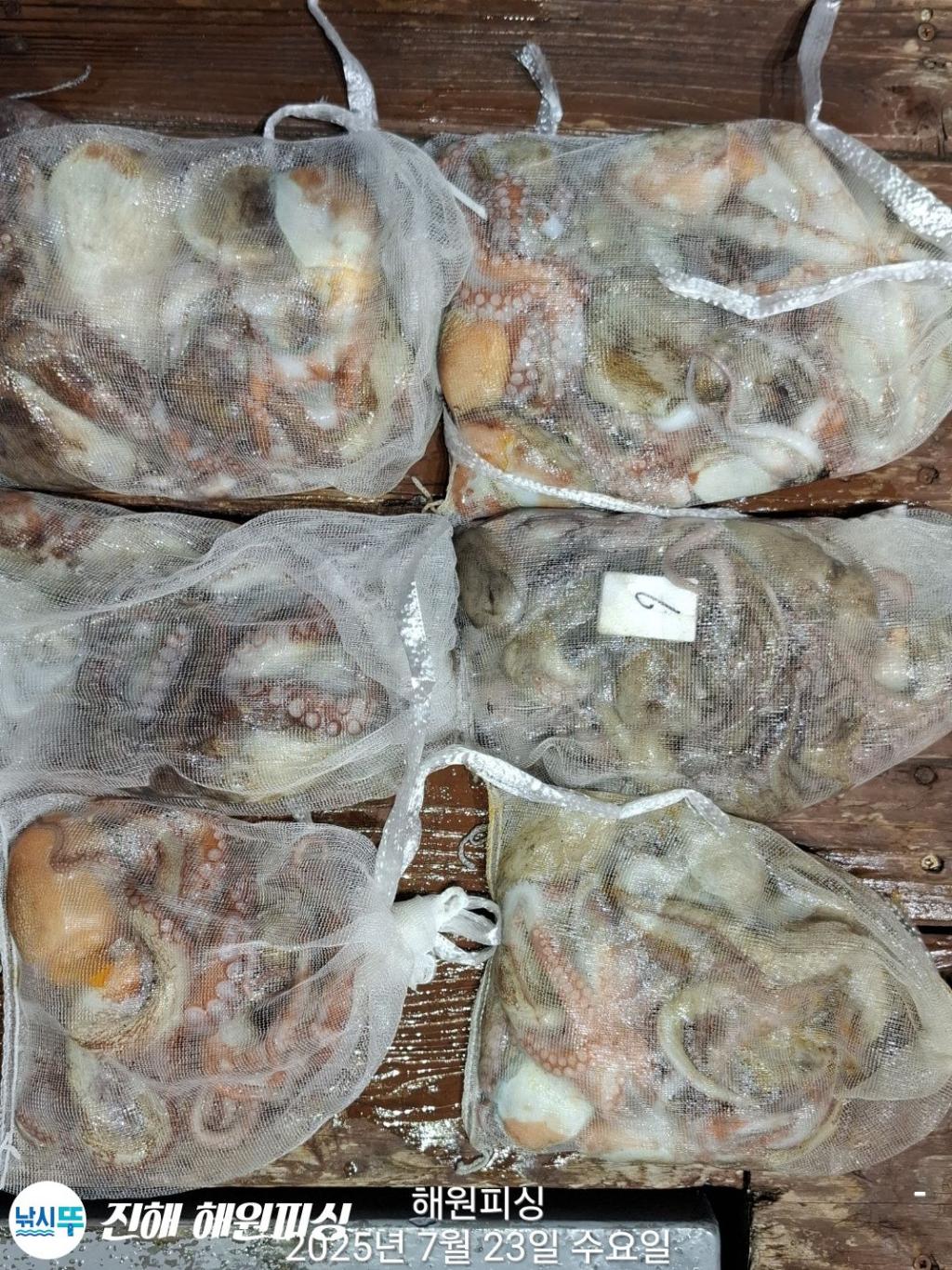F2730860O4.jpg