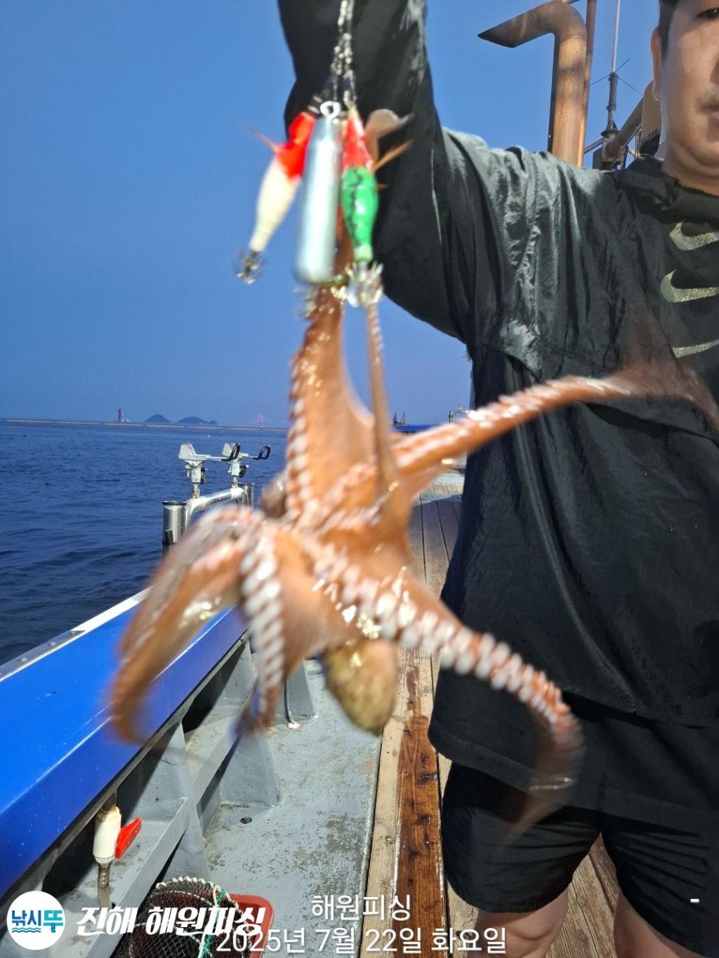 F2730869KG.jpg