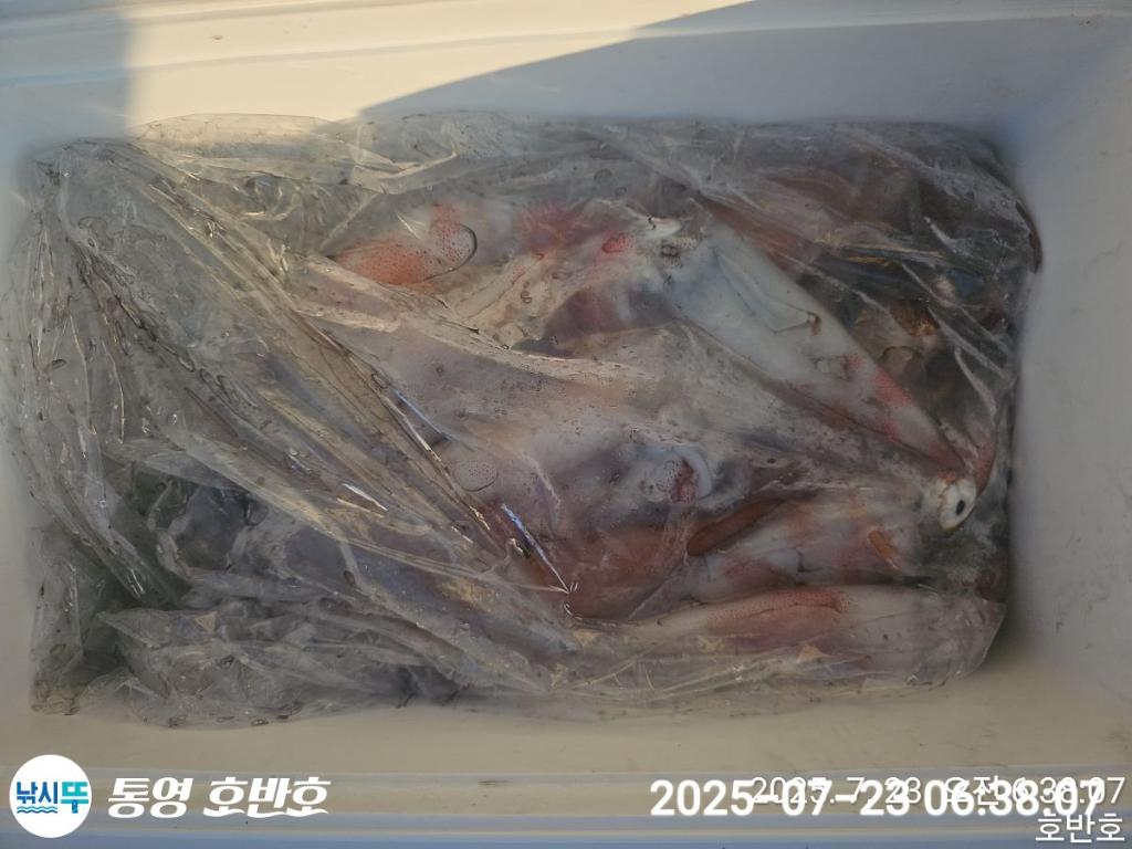 F2730914VR.jpg