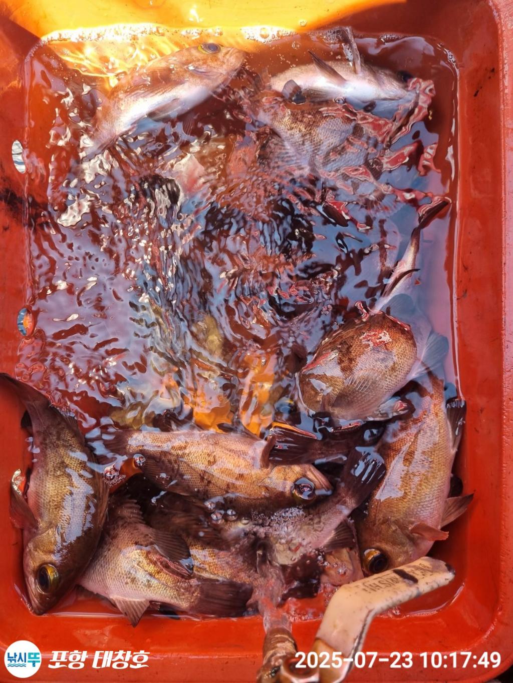 F2731021NE.jpg