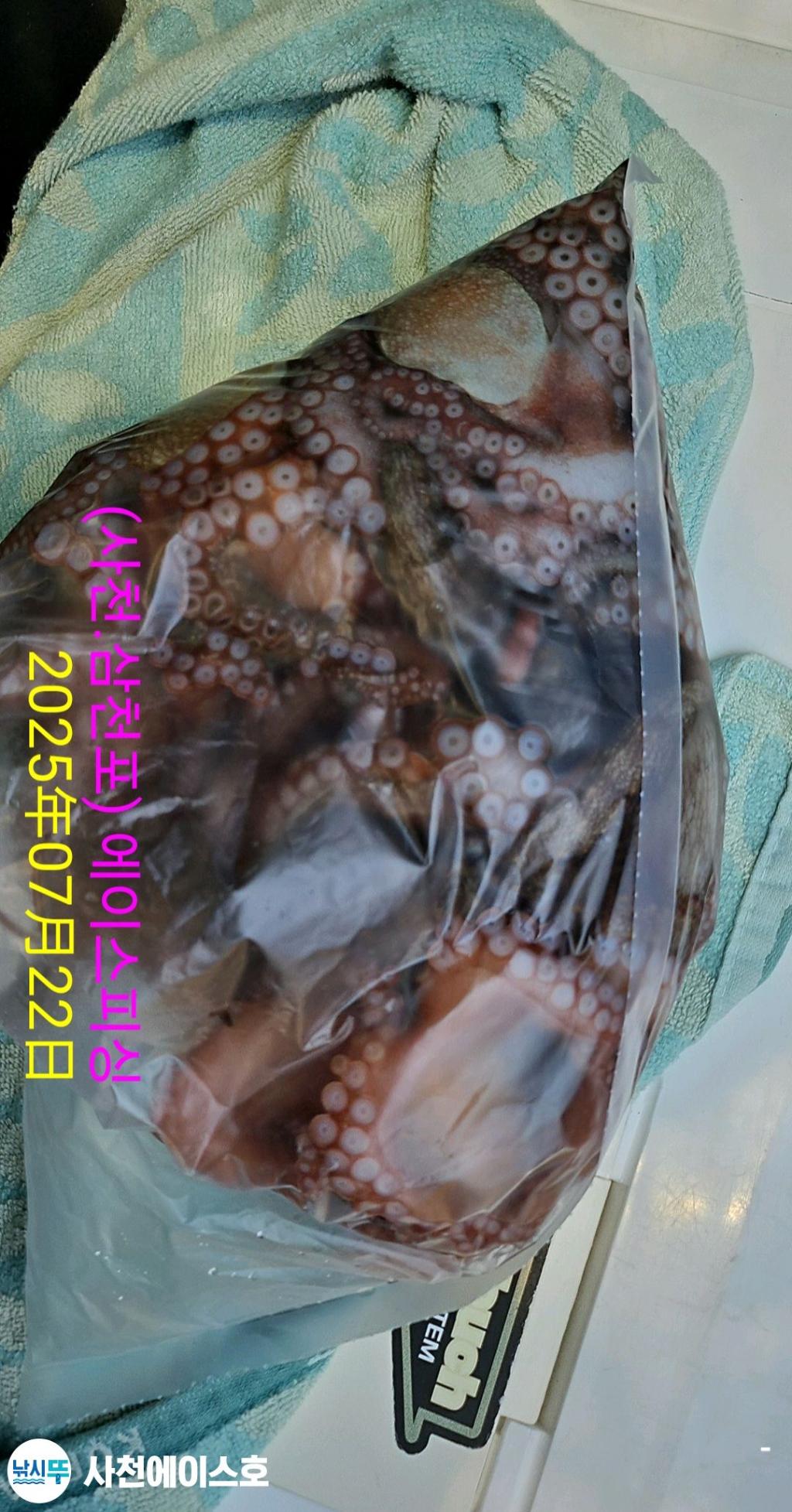 F273104855.jpg