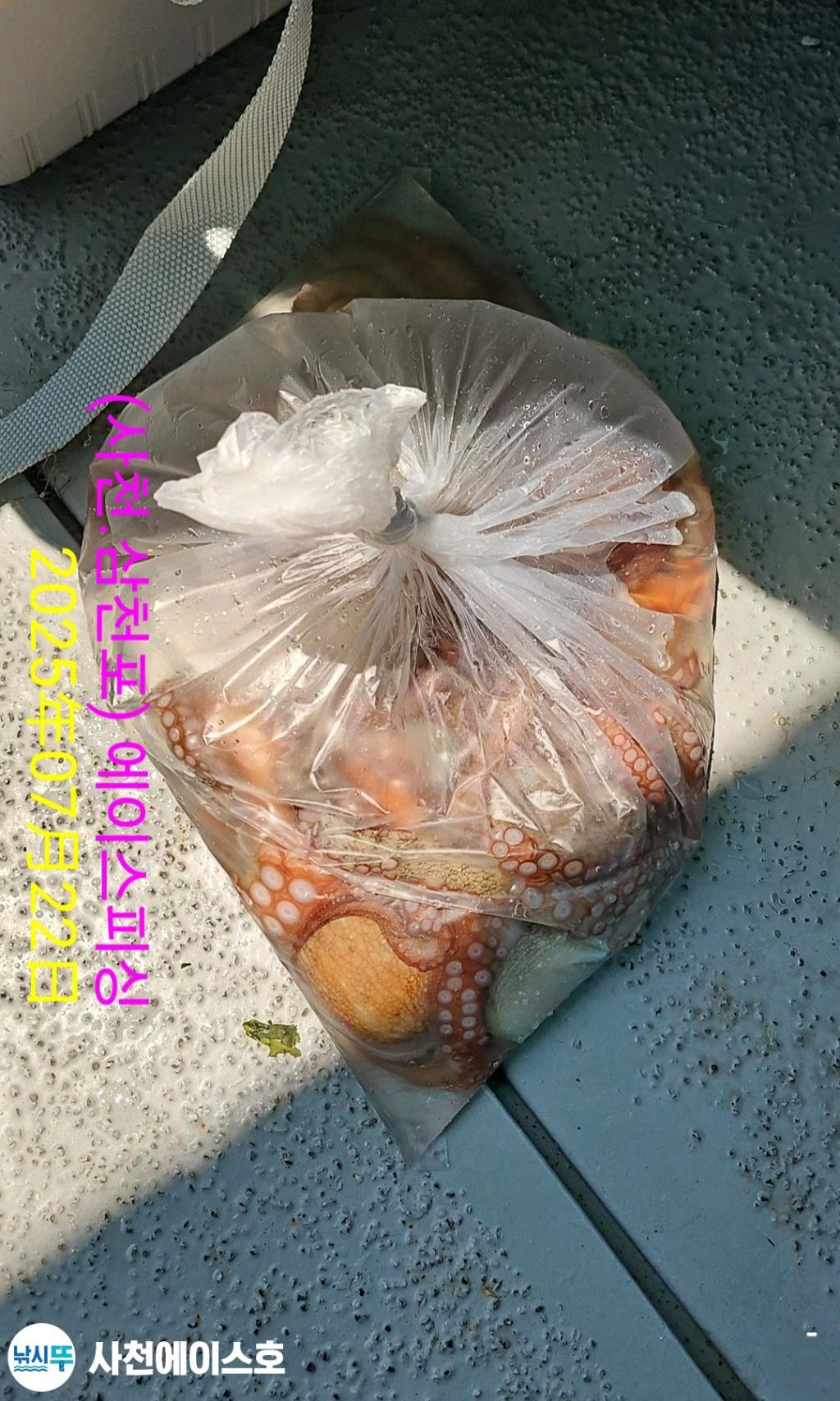 F273104929.jpg