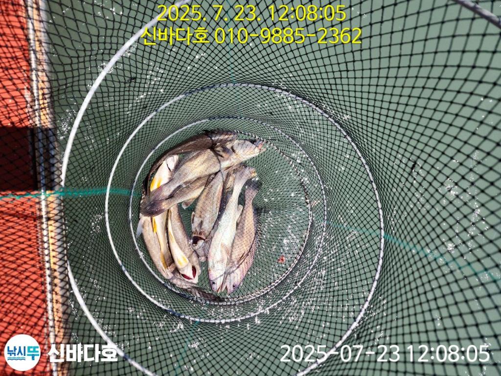 F273105432.jpg