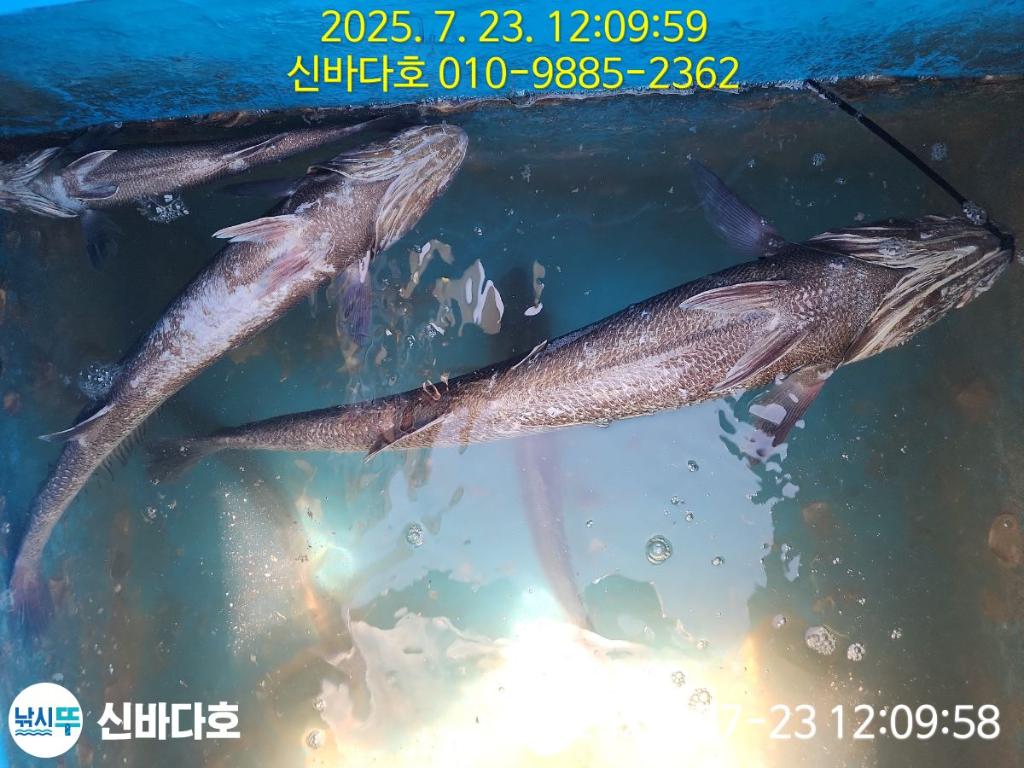 F27310556U.jpg