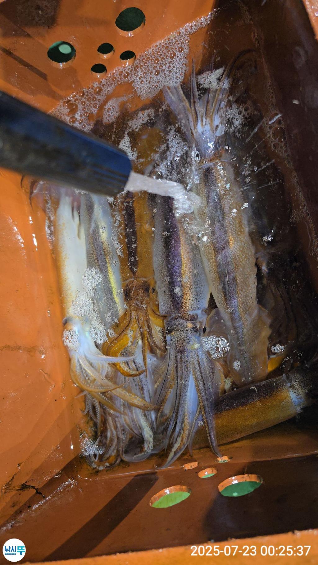 F2731133EB.jpg