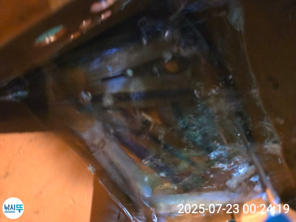 F27311345S.jpg