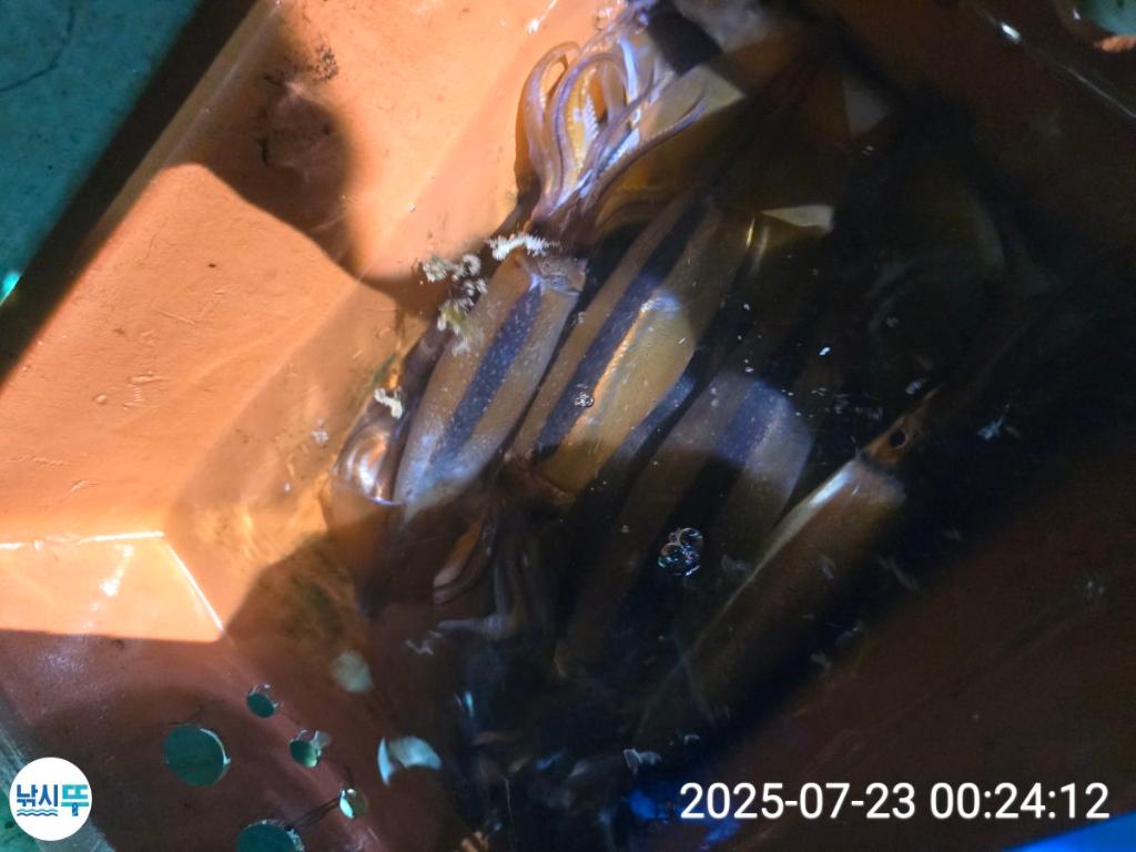 F2731137VY.jpg