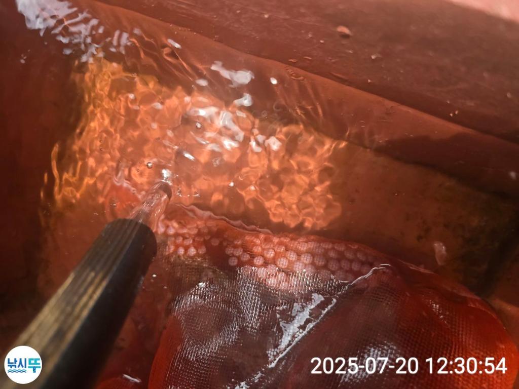 F2731163S1.jpg