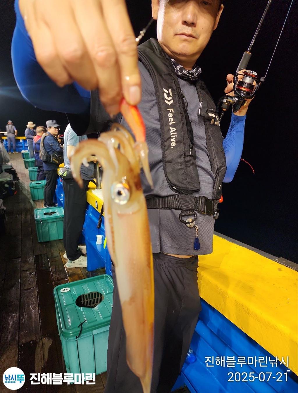 낚시뚜,한치,진해수도항,진해블루마린낚시,낚시뚜16
